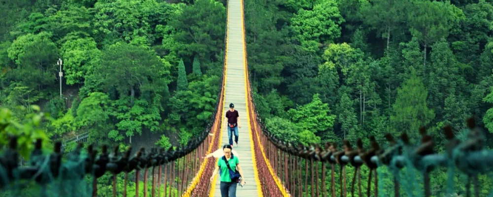blog-image5